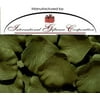 Willow Green - 100 Silk Rose Petals Wedding Favors - Solid Colors - Wedding Reception and Party Supplies