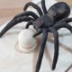 thumbnail image 4 of Caja sorpresa de araña de broma, caja de araña de goma para bromas, caja de madera con araña ingeniosa - Snngv, 4 of 5