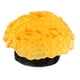 thumbnail image 5 of 2 piezas silicona artificial para acuarios no tóxicos, adornos de plantas marinas Decoración de simulación de - y Gloria Coral artificial de acuario, 5 of 9