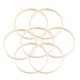 thumbnail image 1 of 20pcs Dreamcatcher DIY Rings Round Fan Bamboo Frame Craft Making Materials (10cm), 1 of 3