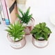 thumbnail image 3 of Plantas suculentas artificiales: miniplantas suculentas artificiales mejoradas en macetas para la decoración de escritorios de la oficina en casa, pequeñas suculentas artificiales variadas en macetas, 3 of 5