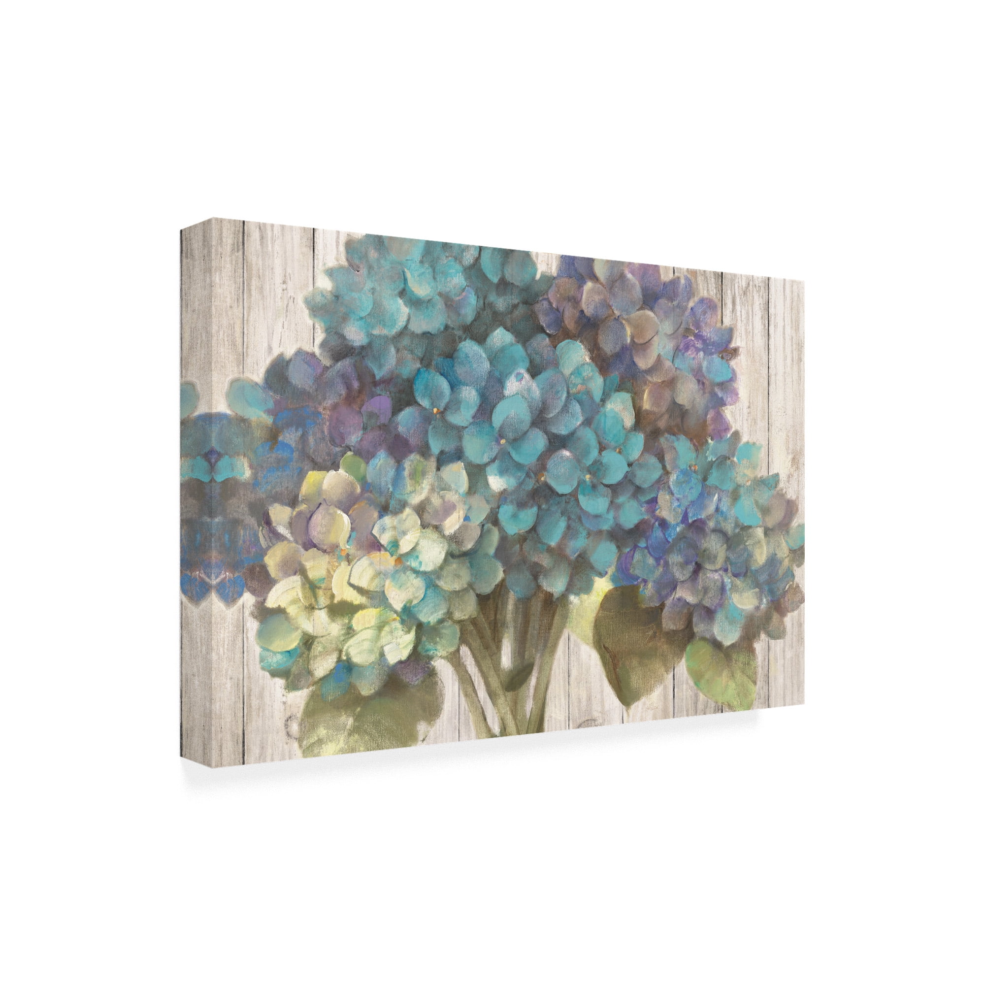 Trademark Fine Art 'Turquoise Hydrangea On Barn Board' Canvas Art by Albena Hristova