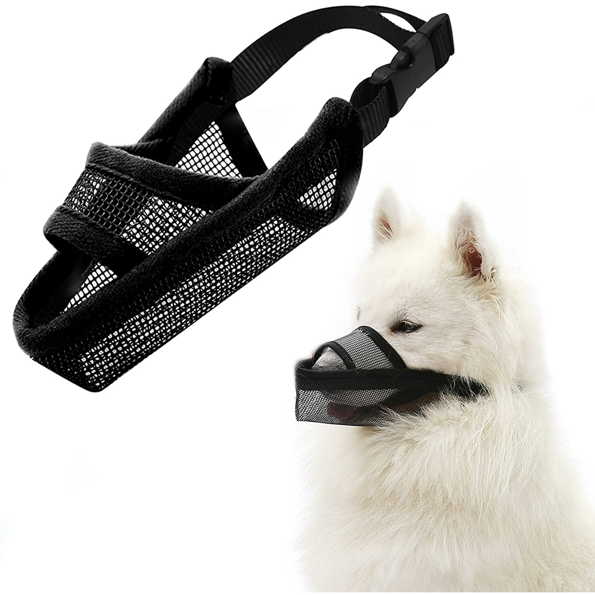 Can A Dog Drink Water Through A Muzzle