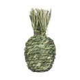 thumbnail image 2 of Eisoary Pet Chew Toy Fruit Shape Natural Grass Relieve Boredom Rabbit Hamster Chinchilla Guinea Pig Squirrel Gerbil Teeth Cleaning Toy Pet Supplies Apple, 2 of 13