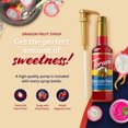 thumbnail image 3 of Torani Dragon Fruit Flavoring Syrup, Professional Tropical "Refresher" Base, Shatter-Resistant 1L Plastic Bottle + Bonus Squeeze Pump, 3 of 6