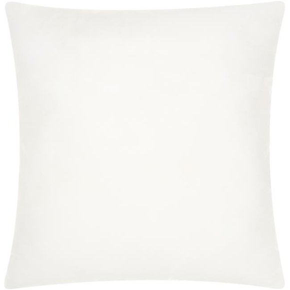 Pillow Inserts 20 X