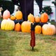 thumbnail image 4 of Decoración de Halloween: Prótesis de pierna de bruja para decoración del jardín, color naranja, 4 of 6