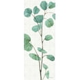 thumbnail image 2 of Audit, Lisa 8x14 White Modern Wood Framed Museum Art Print Titled - Mixed Greens LIX, 2 of 4