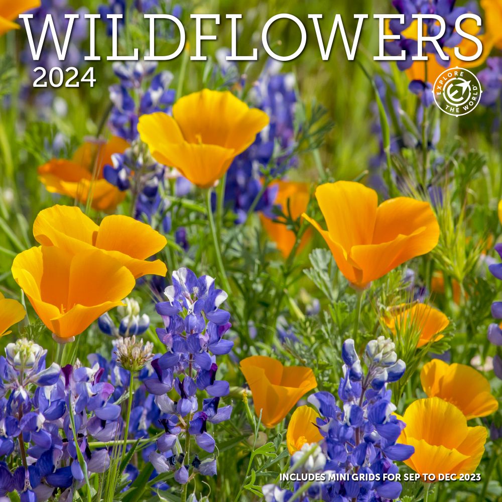 Ziga Media Wildflowers 2024 Wall Calendar Walmart ziga-media-wildflowers-2024-wall-calendar-walmart