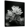 thumbnail image 2 of Designart "Monochrome Coral And Anemone Realm" Coastal Coral Under Water Floater Framed Canvas Art Print, 2 of 5