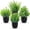 Black, variant on 4 PCS Small Fake Plants,Mini Artificial Faux Plants,Indoor Eucalyptus Lavender Spring,for Halloween Room Farmhouse Desk House Bathroom Decor (Black)