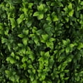 thumbnail image 3 of Bornbridge 4' Tower Tree - English Boxwood - 2 Pack, 3 of 4