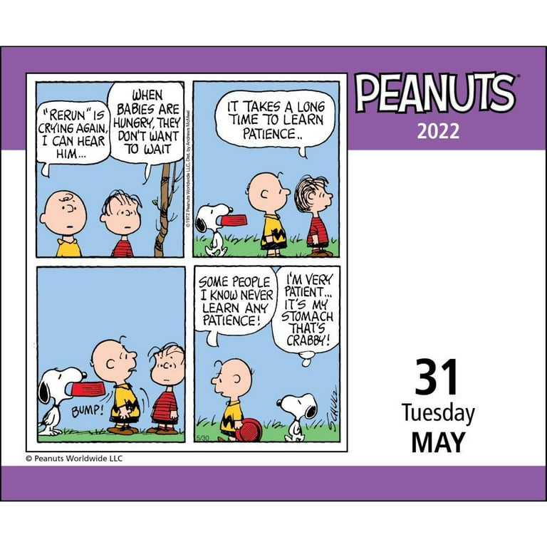 Peanuts 2022 Day-to-Day Calendar (Calendar) - Walmart.com