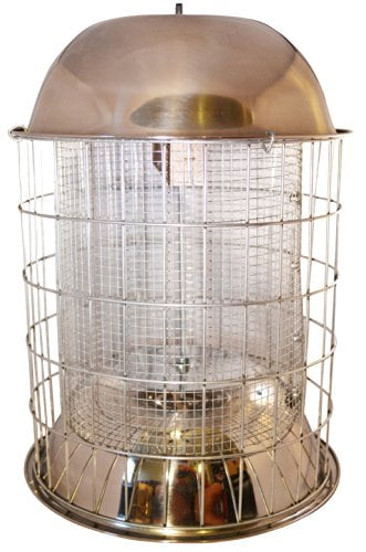 Skinny Squirrel Grackle and Squirrel Proof Stainless Steel Birdfeeder by Skinny Squirrel