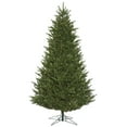thumbnail image 5 of Vickerman 6.5' x 51" Fresh Fraser Fir Artificial Christmas Tree, Warm White Dura-lit LED Lights, 5 of 5