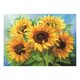 thumbnail image 1 of 11CT DIY Girasoles Punto Cruz Kit Bordado Costura (PCH328), 1 of 9