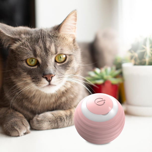 Pelota de juguetes para gatos Salvador bola rodante automática interactiva Rosa