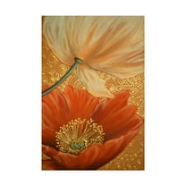 Trademark Fine Art 'Poppy Duet' Canvas Art by Cherie Roe Dirksen