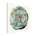 thumbnail image 4 of Trademark Fine Art Dan Hobday  Water Oak Canvas Wall Art, 4 of 4