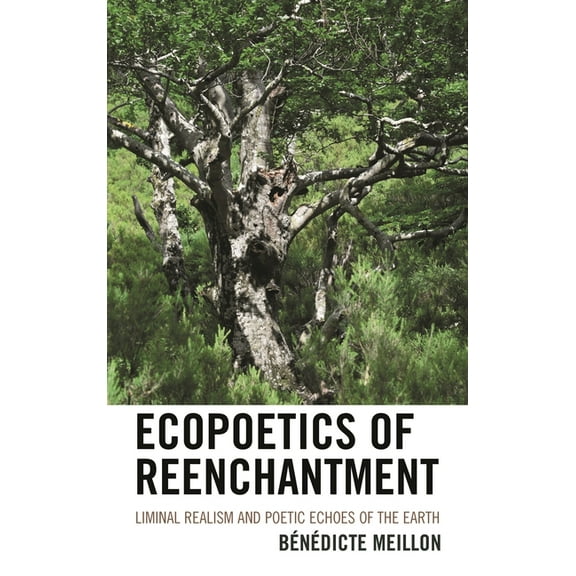 Ecocritical Theory and Practice Ecopoetics of Reenchantment: Liminal Realism and Poetic Echoes of the Earth, (Paperback)