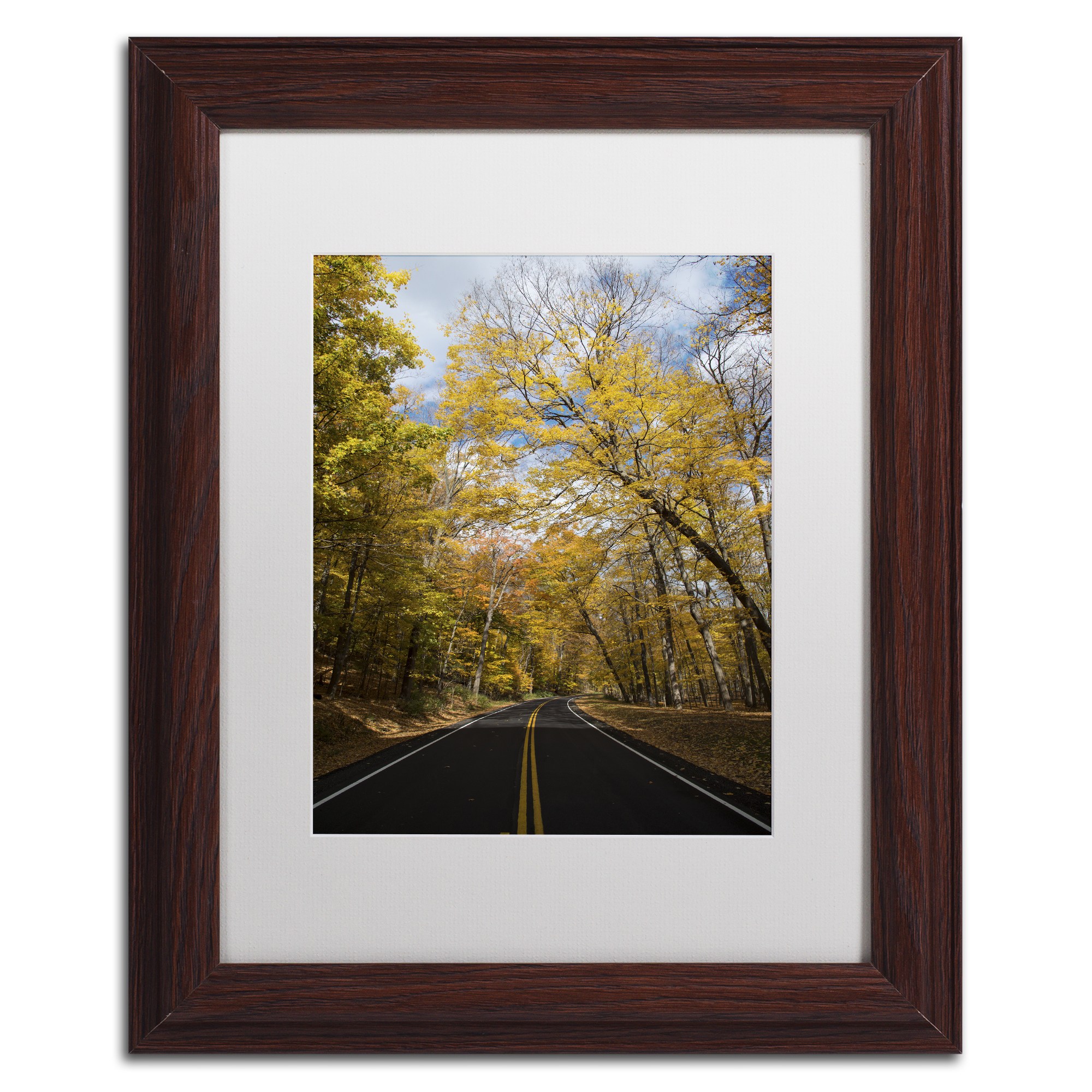 Trademark Fine Art "Autumn Along the Valley Park" Canvas Art by Kurt Shaffer, White Matte, Wood Frame