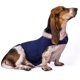 thumbnail image 1 of Ropa reconfortante para mascotas Ropa para calmar el estado de ánimo de mascotas Chaqueta para calmar la ansiedad del perro 1956, 1 of 6