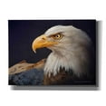 thumbnail image 1 of Epic Graffiti 'Bald Eagle Study' by Chris Vest, Canvas Wall Art, 24"x20", 1 of 3