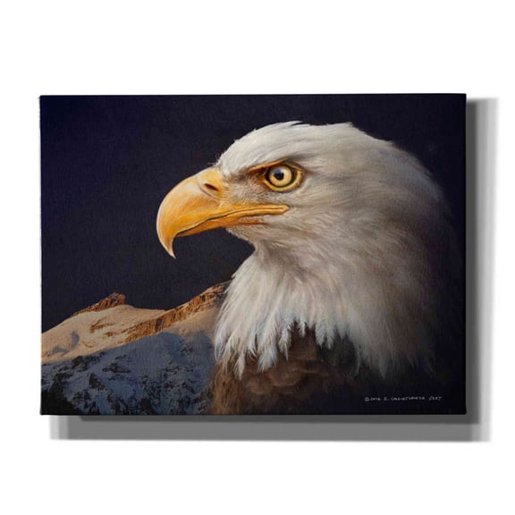 Epic Graffiti 'Bald Eagle Study' by Chris Vest, Canvas Wall Art, 24"x20"