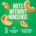 thumbnail image 6 of (4 pack) Emerald Nuts, Cashews Roasted and Salted 100 Calorie Packs, 0.62 Oz, 10 Ct, 6 of 9