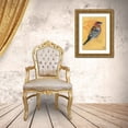 thumbnail image 3 of Adkin, Arielle 18x24 Gold Ornate Wood Framed with Double Matting Museum Art Print Titled - Bird Study I, 3 of 4