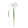 thumbnail image 3 of karymi Artificial Clivia Amaryllis Flower 1pcs Faux Realistic Blooms Tall 25.19 In Home Decor Wedding Centerpiece Vase Floral Arrangement Gift Ideas, 3 of 6