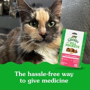 FELINE GREENIES PILL POCKETS Natural Cat Treats, Salmon Flavor, 1.6 oz. Pack (45 Treats)