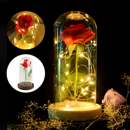Rose Light Bottle, EEEKit Beauty and The Beast Rose Decor Light Red Rose Glass Dome LED Fairy String Lights for Valentines' Day Wedding