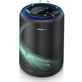 Air purifier for smoke walmart sale