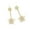 Golden, variant on UDIYO Elegant Fashion Snowflake Rhinestone Crystal Dangle Earrings for Female Daily Outfits