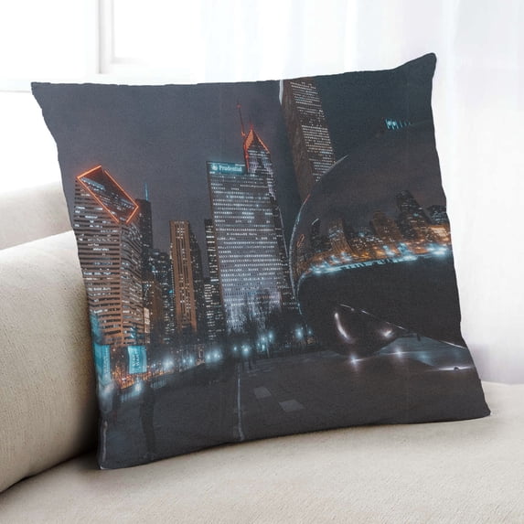 Ahgly Company State Illinois Indoor Throw Pillow, 18 inch by 18 inch