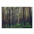 thumbnail image 1 of Forest Cutting Board, Forest in the Morning Tall Trees Trunks Greenery Natural Environment Picture Print, Decorative Tempered Glass Cutting and Serving Board, Small Size, Green Brown, by Ambesonne, 1 of 1