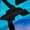 Blue Fuchsia 01, variant on Feelyou Gymnastics Lover Black Out Curtains, Ballet Dance Curtains Pack of 2 (42x63 Each)