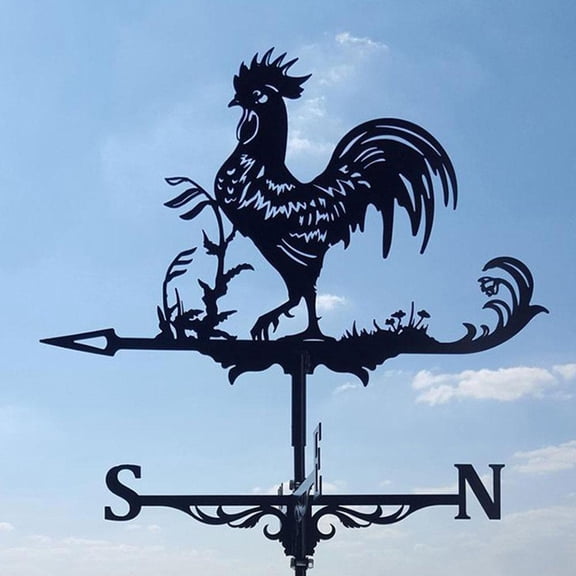 Stainless Steel Weathervane, 12 Inch Rust-Resistant Garden Decor, Accurate Wind Direction for Roof or Yard