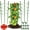 3 Pack, variant on 3 Packs Plant Support Cages Tomato Cage for Garden- 36 Inch Adjustable Garden Cucumber Trellis Plant Stakes, Trellis Support Rings for Climbing Plants, Pots, Indoor Plants with 10 Plant Clips
