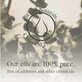 thumbnail image 7 of 100% Organic Eucalyptus Essential Oil, Relaxing and Calming Essential Oil for Home Diffuser by White Naturals, 7 of 7