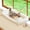 Natural Color Wood w/ Cream Bed-Medium (22"x15"), variant on Cat Perch Natural Color Wood w/ Gray Bed Medium (22"x15") Window Sill Use