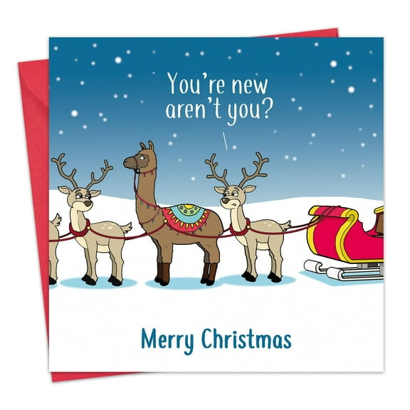 Twizler Funny Christmas Card - Llama Confusion - Happy Christmas Card - Xmas Card for Men or Women