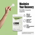thumbnail image 6 of NutraBio 100% Pure L-Leucine - Muscle Recovery and Support - Naturally Fermented Free Form Amino Acid - Vegan, Non-GMO, Gluten Free - (500 Grams), 6 of 9