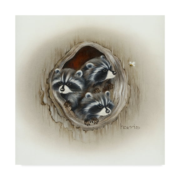 Trademark Fine Art 'Raccoons In Hole' Canvas Art by Peggy Harris