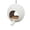 C, variant on WEGFTDUOP Weather-Resistant Plastic Outdoor Hanging Bird Feeder, Easy to Hang & Clean, Large Capacity for Mixed Bird Seeds, Attracts Wild Birds to Garden Patio Backyard