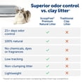 thumbnail image 5 of PetSafe ScoopFree Premium Natural Cat Litter, Non-Clumping, 2 packs of 4.2 lb, 5 of 7