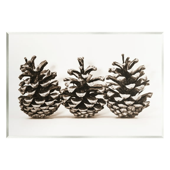 Stupell Industries Three Pinecones Nature Botanical & Floral Photography Unframed Art Print Wall Art, 15 x 10