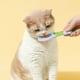 thumbnail image 4 of Cuchara para comida de gatos Comedero y dispensador de comida para gatos que se puede lamer, para comida húmeda y alimentación, 4 of 4