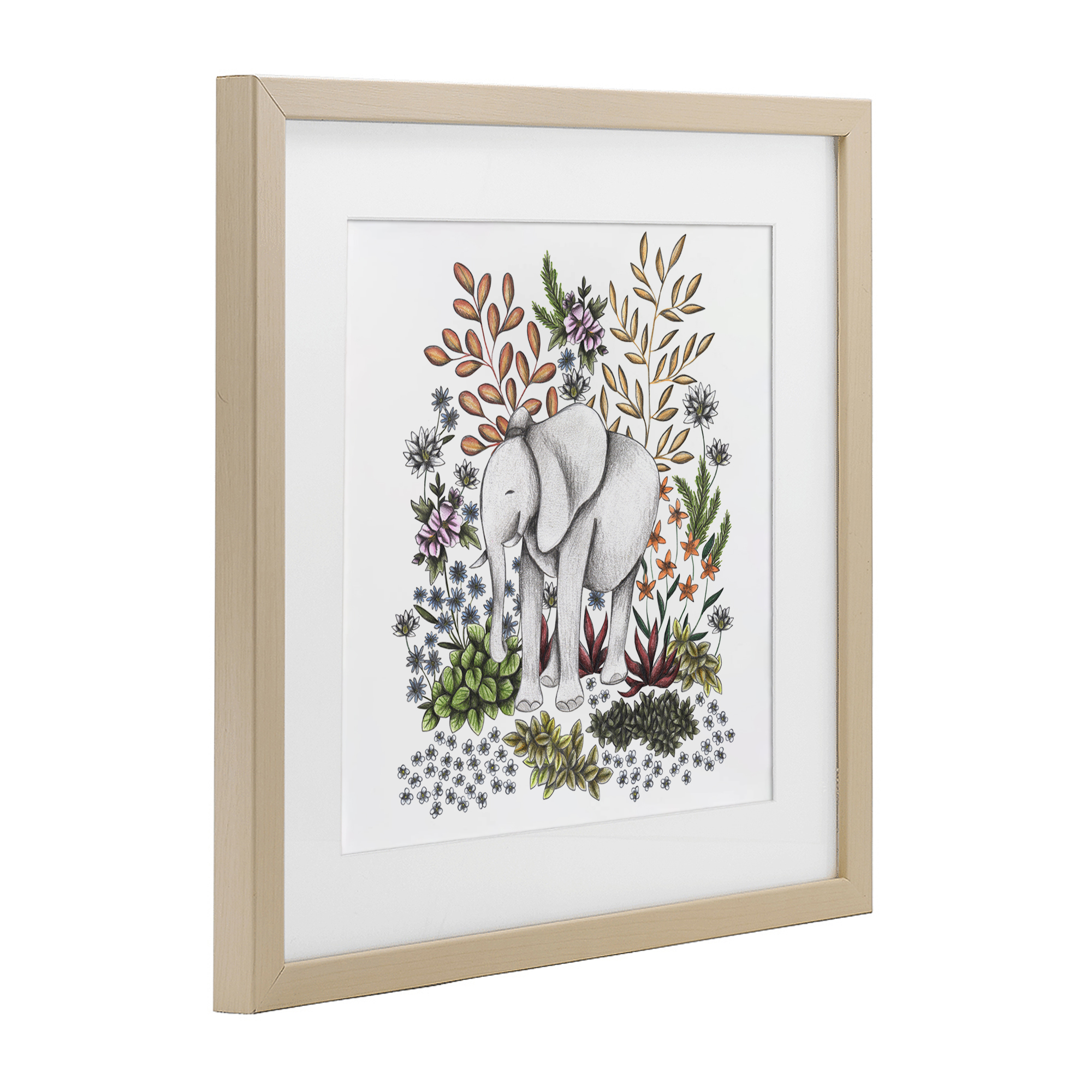 Jungle Wildlife Elephant Birch Framed Print Under Glass, design by Cecilia Battaini